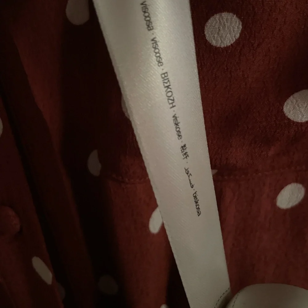 NWOT: Uterqüe Brown Midi-Dress with Polkadots - Picture 9 of 12